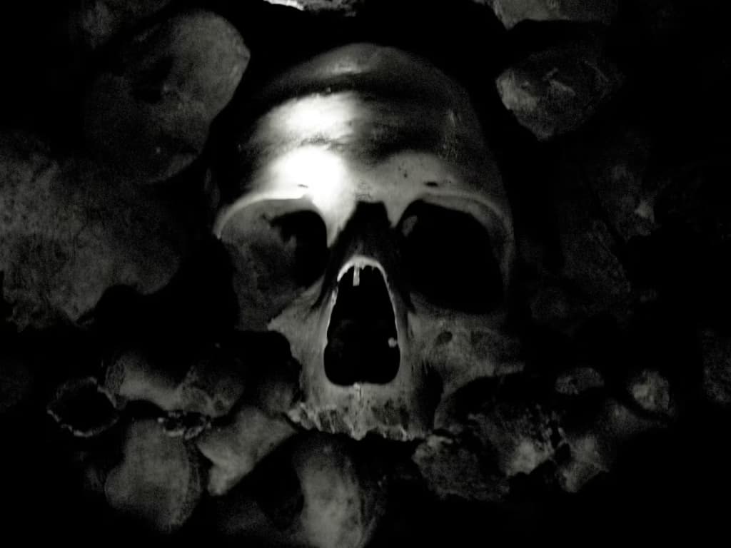 Розкопки виявили череп, який може належати королю