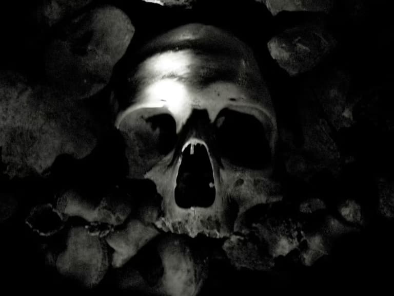 Розкопки виявили череп, який може належати королю