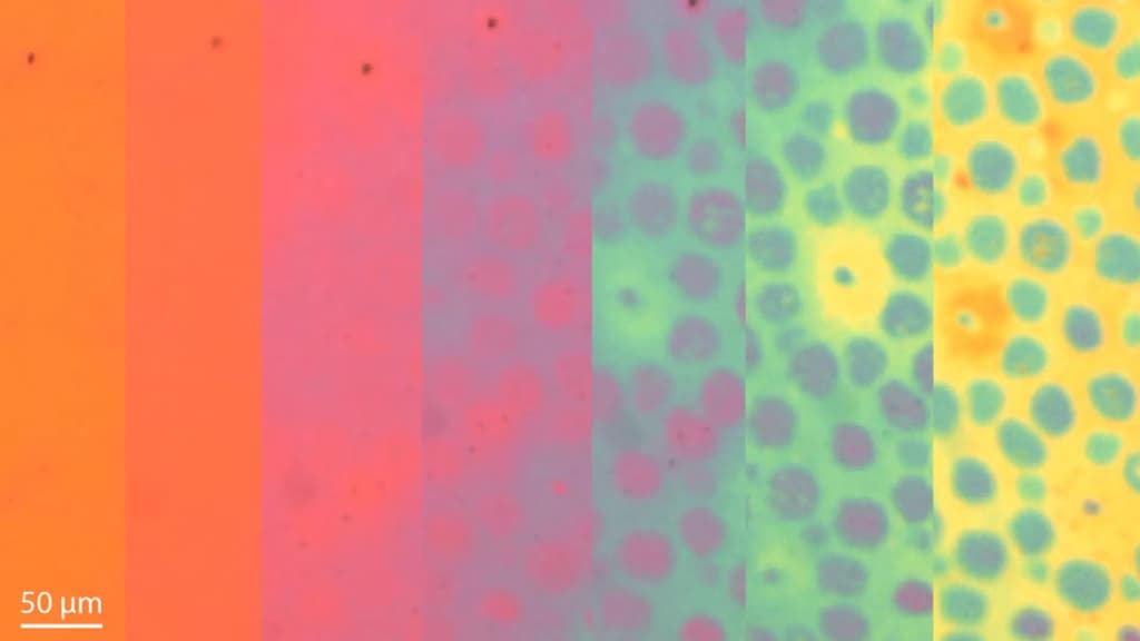 Вчені створили матеріал-хамелеон, що змінює колір та текстуру