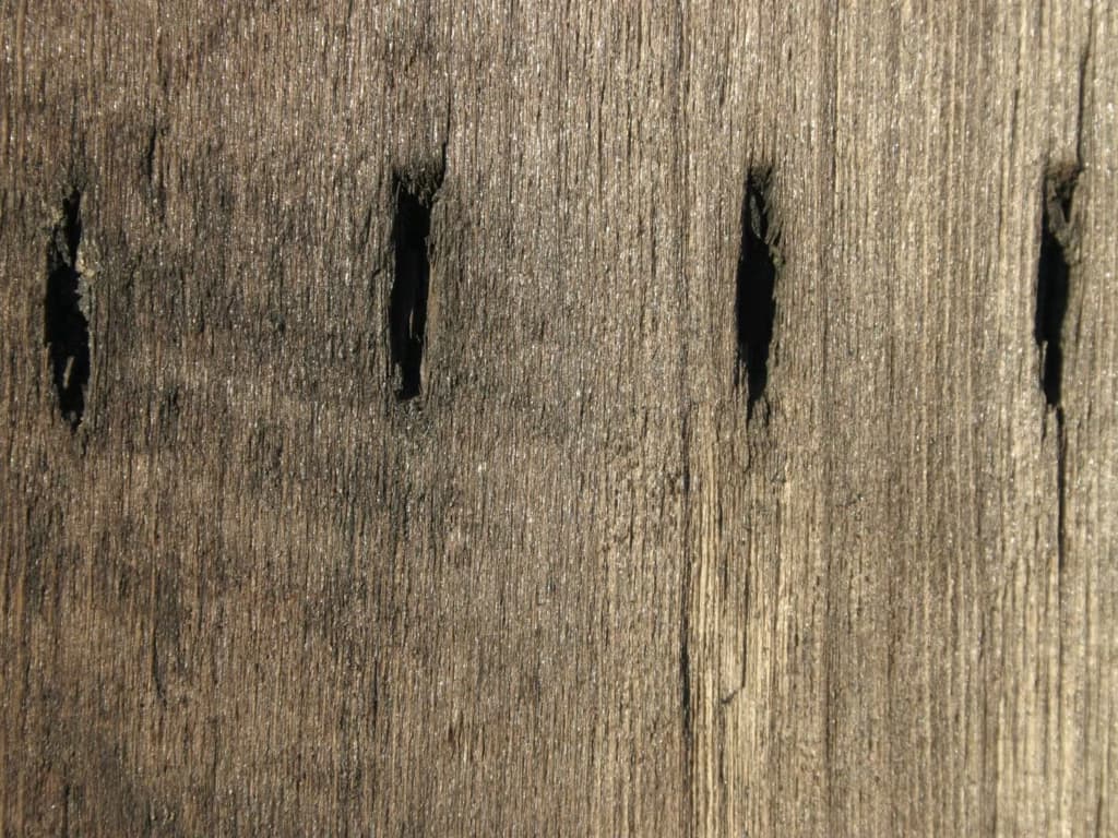 Вчені, можливо, виявили найдавнішу форму писемності в історії