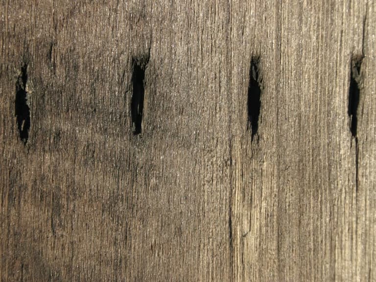 Вчені, можливо, виявили найдавнішу форму писемності в історії