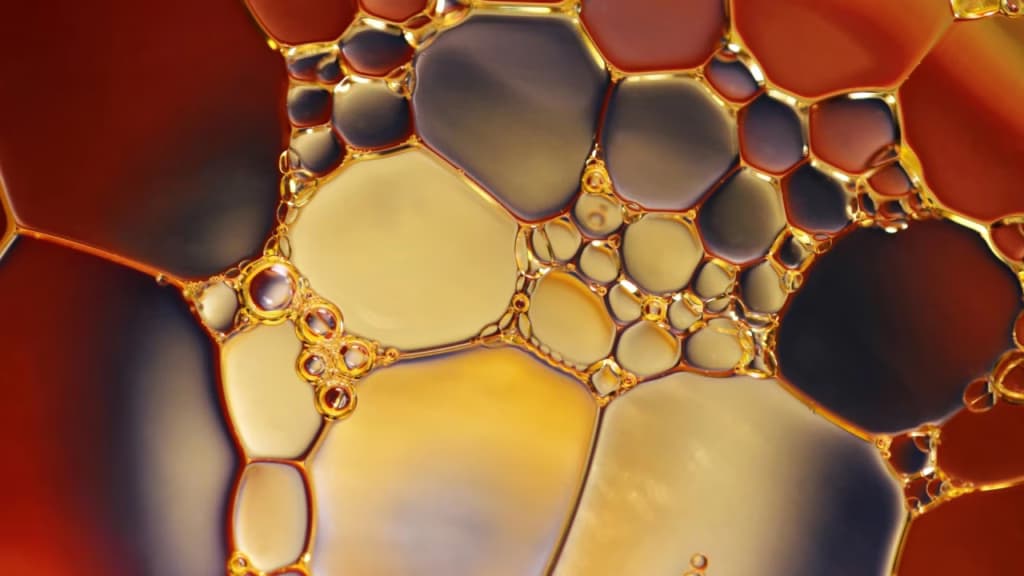 Вчені розкрили несподіваний бік двох найважливіших речей у нашому житті