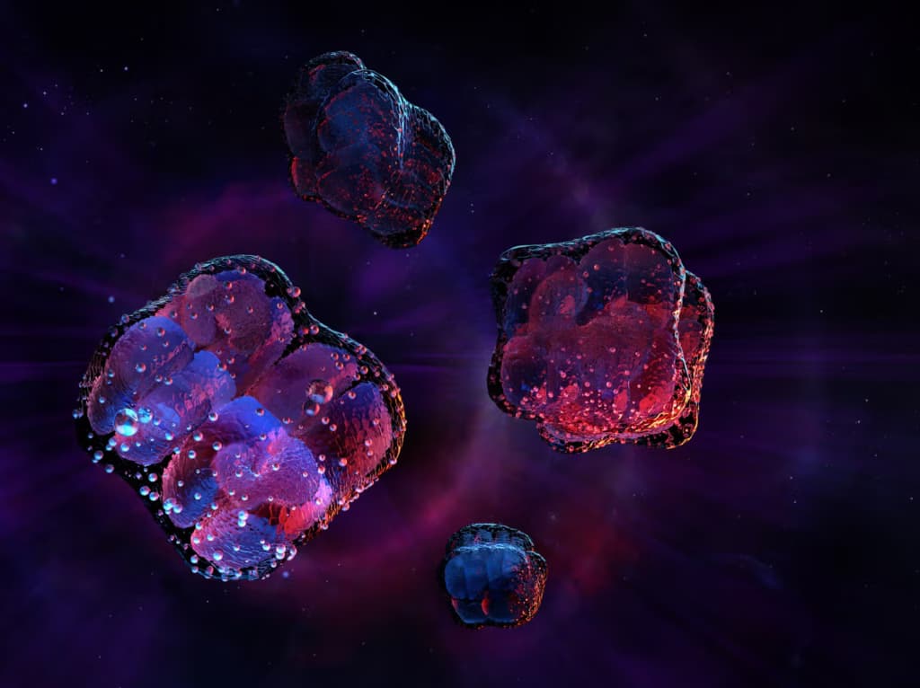 Вчені виявили організм, здатний виживати в одних із найекстремальніших умов у Всесвіті