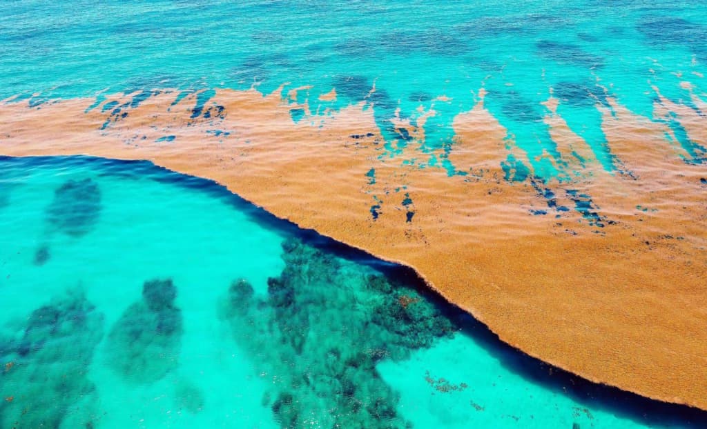 Вчені назвали єдине море на планеті, яке не має берегів