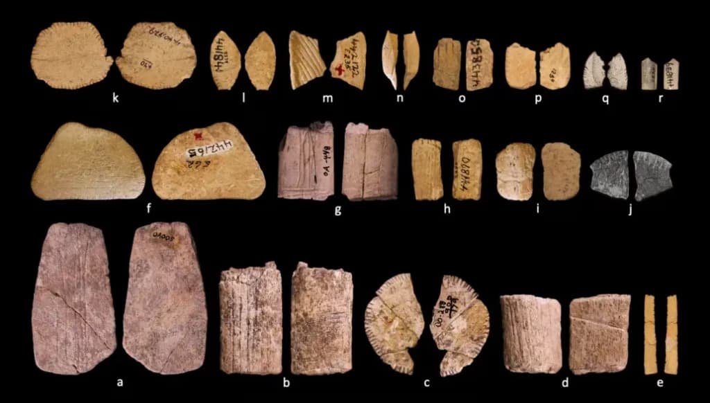 Вчені знайшли найдавніші у світі гральні кості