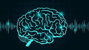 Вчені навчилися впливати на емоції за допомогою ультразвуку