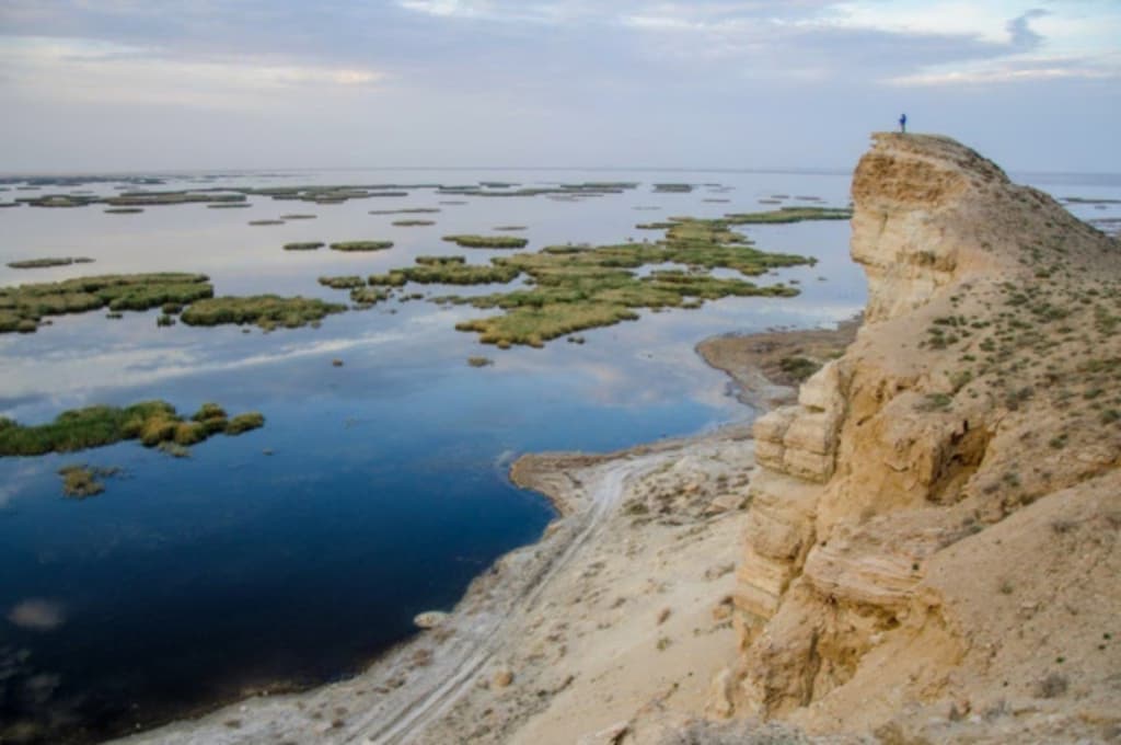 Життя біля моря може бути не таким корисним для здоров’я, як вважали раніше
