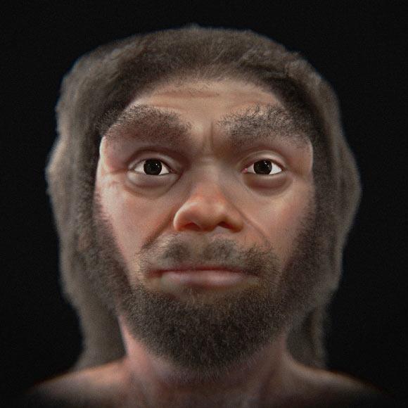 Вчені показали, як виглядав вимерлий вид людини Homo longi
