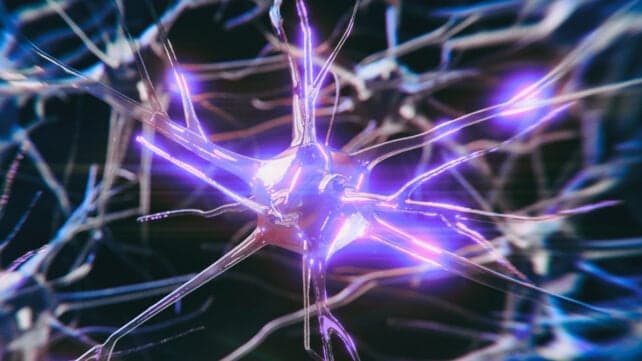 Ген ризику Альцгеймера змінює активність мозку на ранніх стадіях – але це може бути оборотним