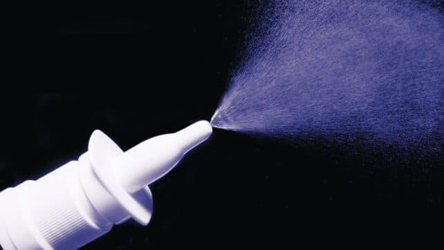 Вчені відновили пам'ять у старіючих мишей за допомогою простого назального спрею