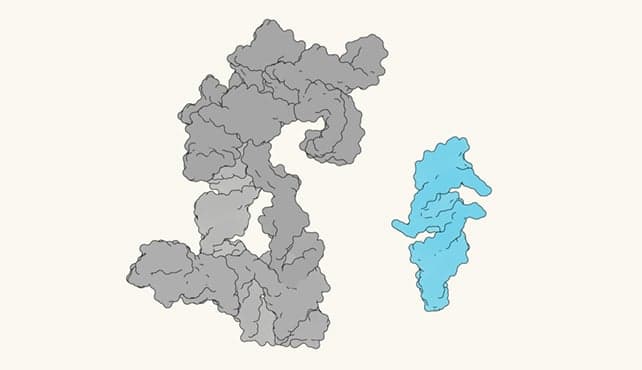 Ця РНК майже самовідтворюється, що може пояснити походження життя