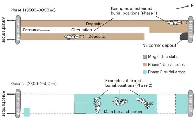 Мysterious Collapse Reshaped Europe 5,000 Years Ago, Scientists Say