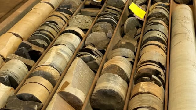 Секрети давніх каменів: як збереглися мікрофосили