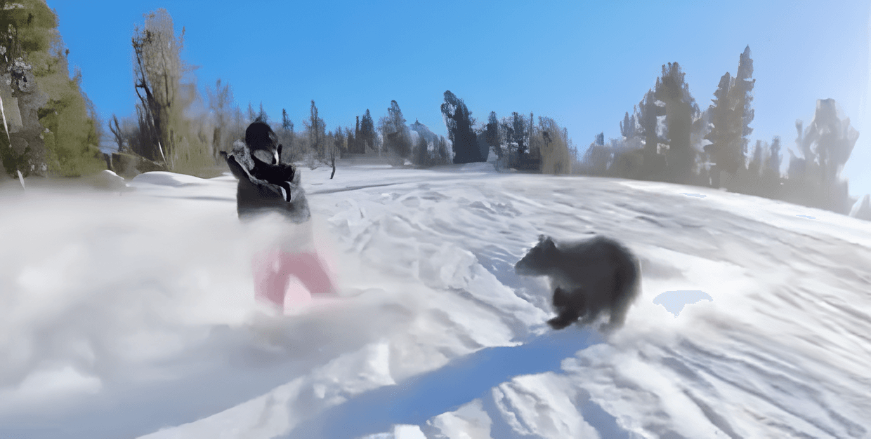 Як ведмідь “переміг” сноубордиста: курйозне відео стало вірусним