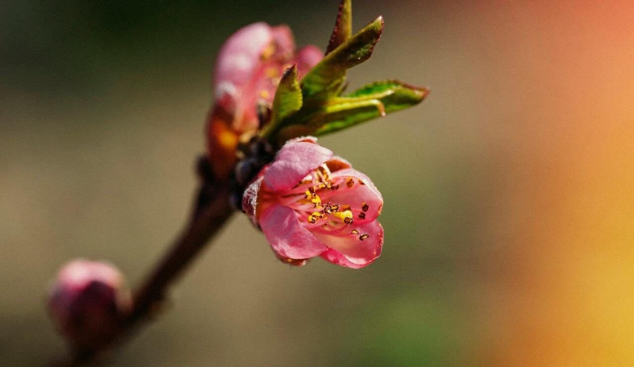 Гороскоп на 28 квітня 2025 року для всіх знаків Зодіаку