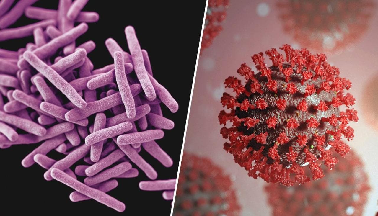 Виявлено новий вірус, що передається через повітря — він не схожий на грип