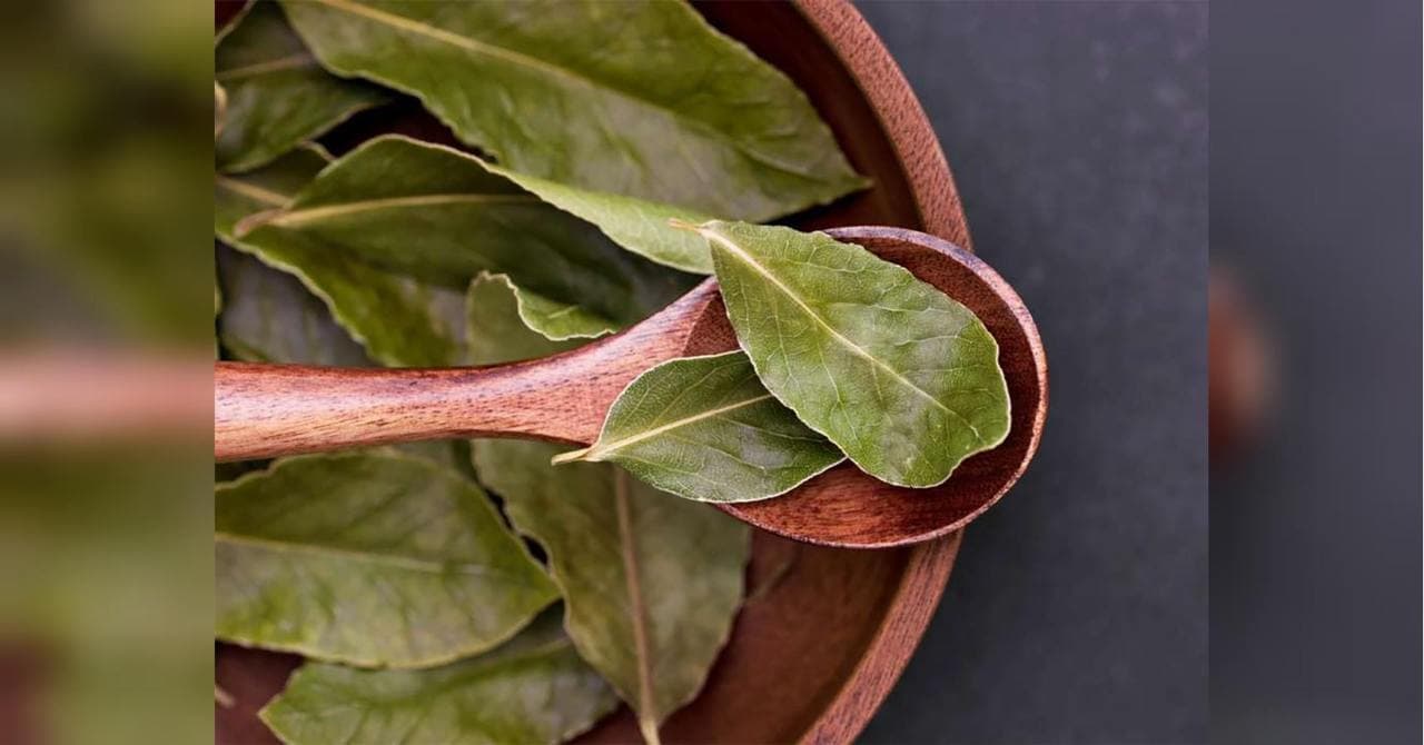 Для чого використовують лаврове листя під час прання