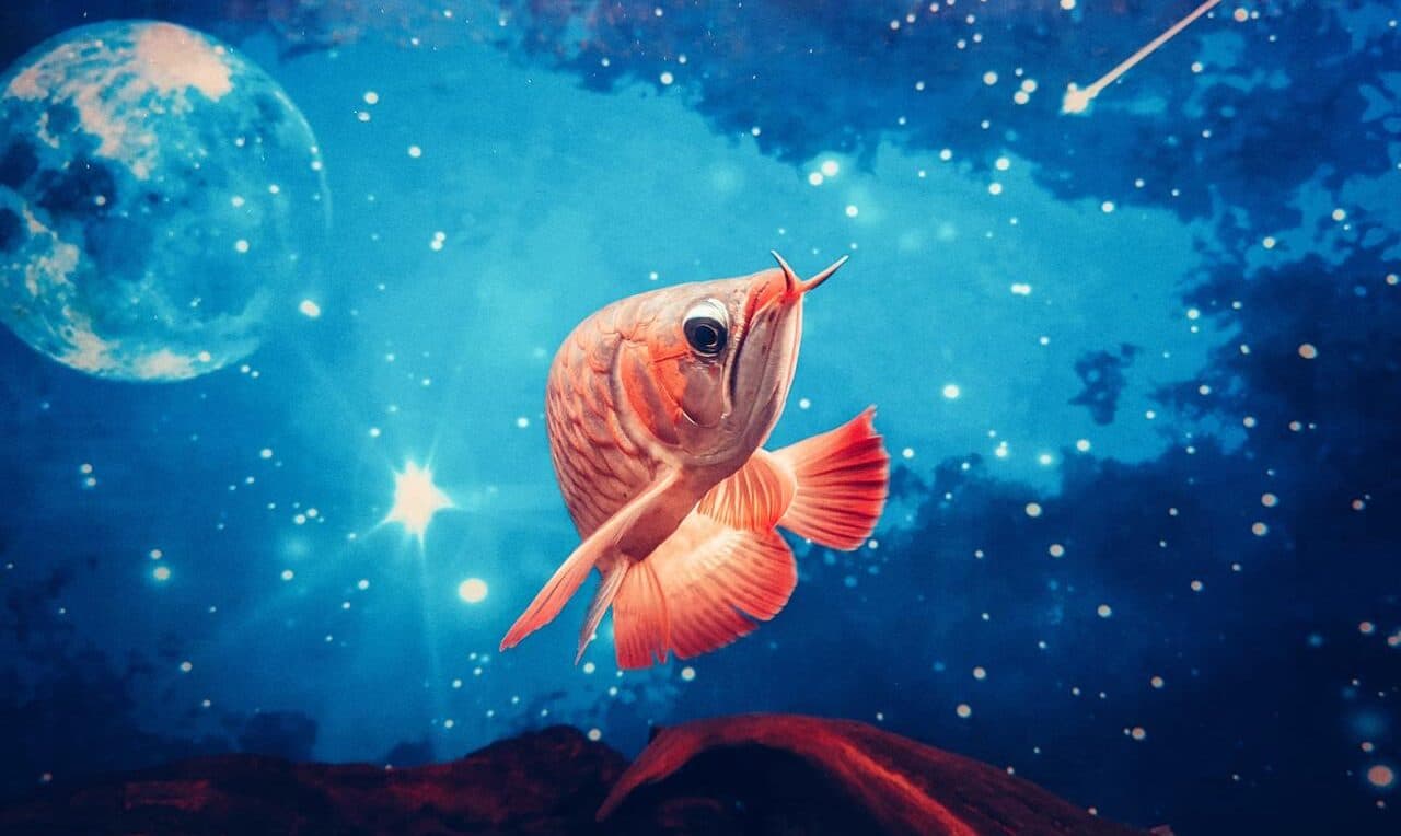 Гороскоп на 14 травня 2025 року для всіх знаків Зодіаку