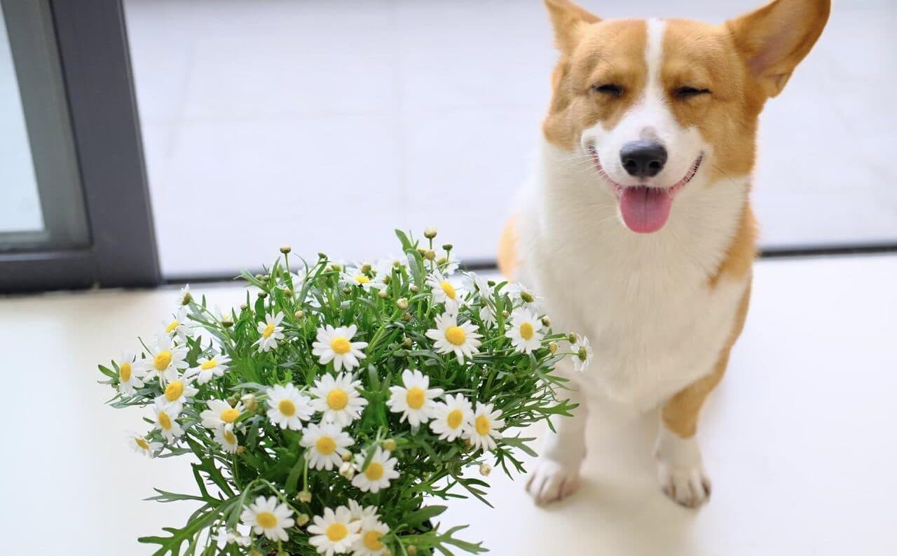 Щастя по-новому: дослідження показало, чому універсальні поради не працюють