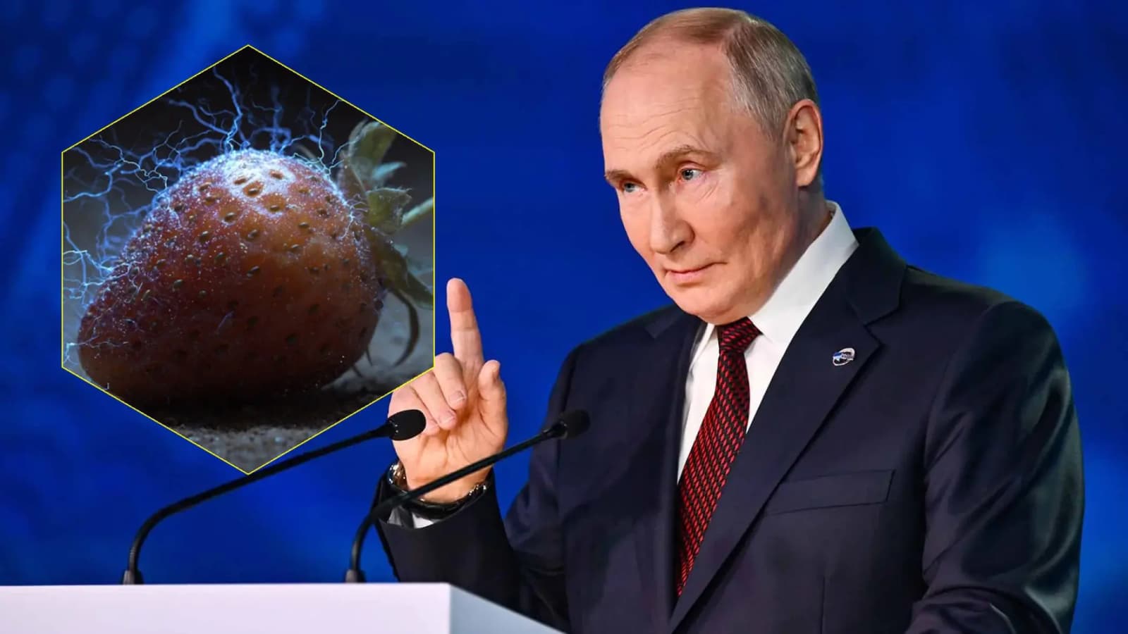 “Тепер на це піде весь бюджет”: Путіну показали “молодильну полуницю”