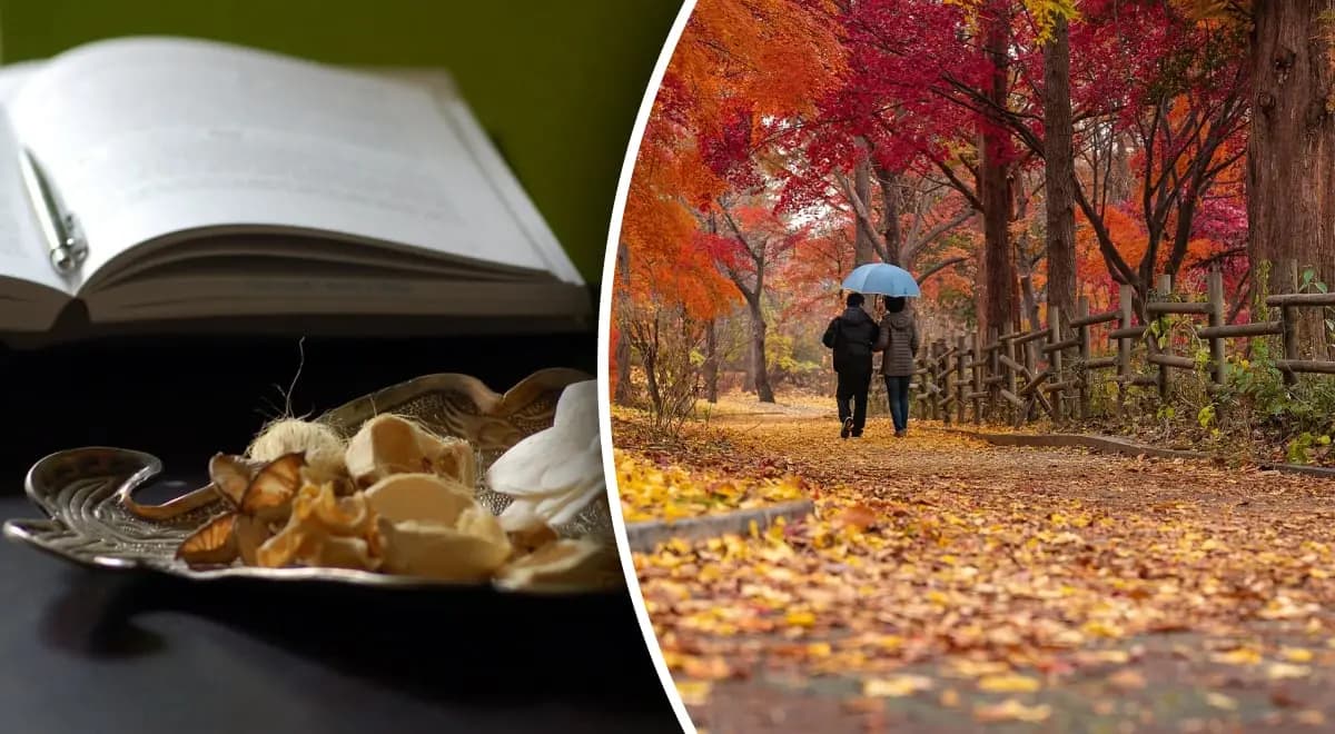 Гороскоп на 12 вересня 2025 року для всіх знаків Зодіаку