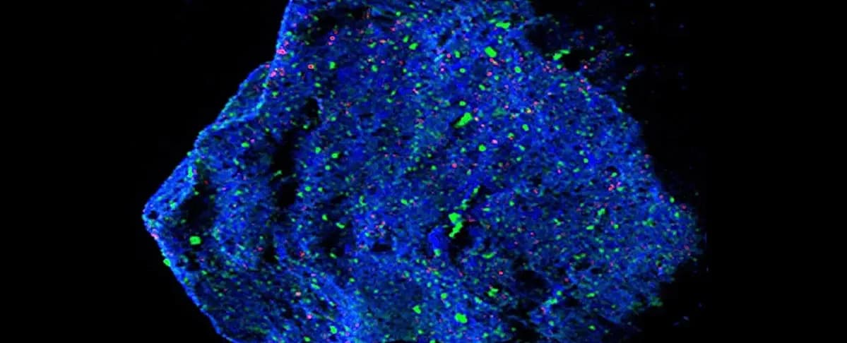 У фрагменті астероїда Рюгу виявили дивний мінерал. На Землі такого немає