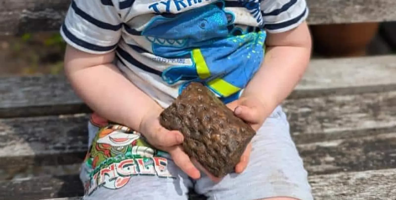 “До ери динозаврів”: дитина знайшла у власному саду скам’янілість, якій понад 300 млн років