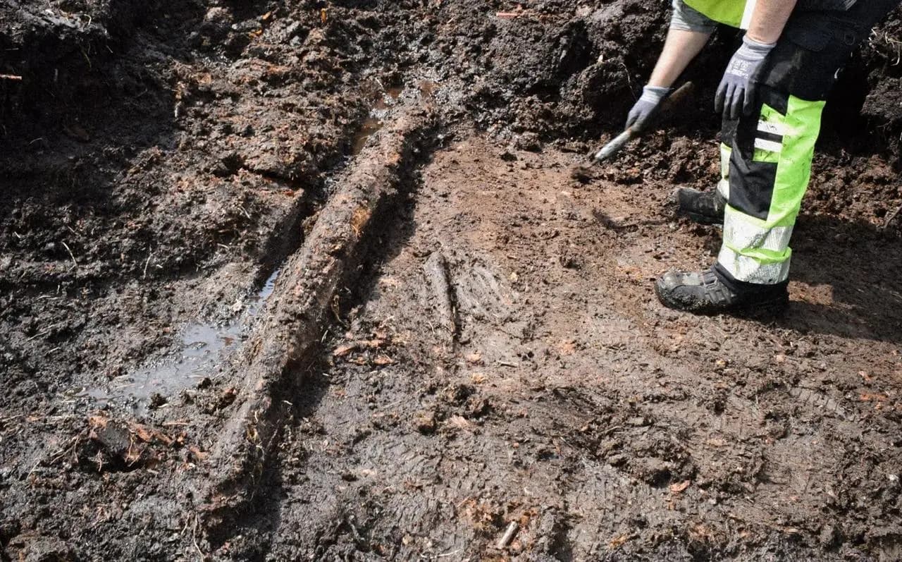 У Швеції знайшли 5000-річну «капсулу часу» в болоті