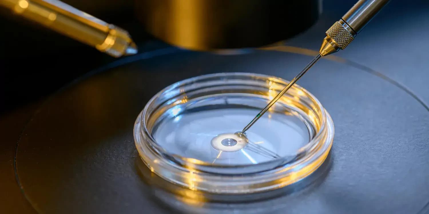 Вчені вперше створили ембріон, використавши ДНК з клітин шкіри людини