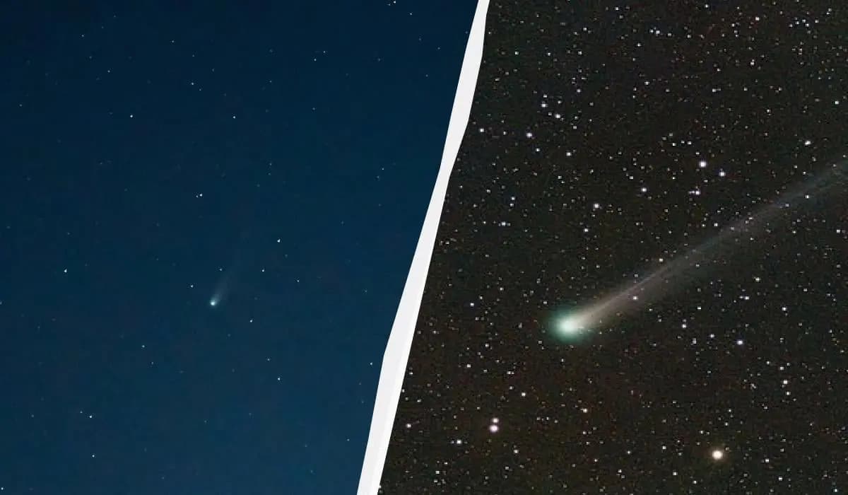 Комету C/2025 A6 Lemmon сфотографували в Україні — що про неї відомо