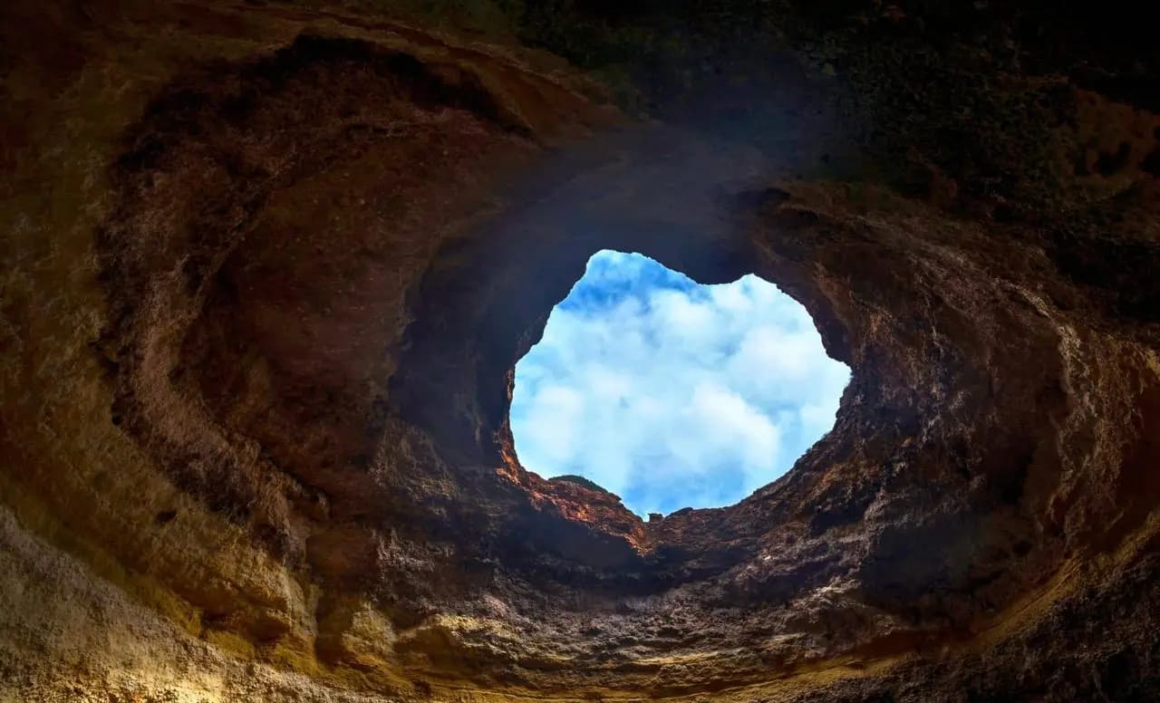 Вчені приголомшені: під Бразилією знайшли нори гігантських лінивців