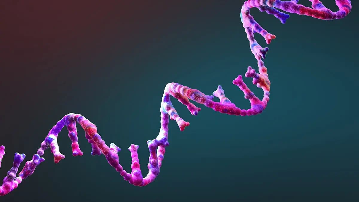 РНК, яка майже відтворює себе: новий ключ до походження життя