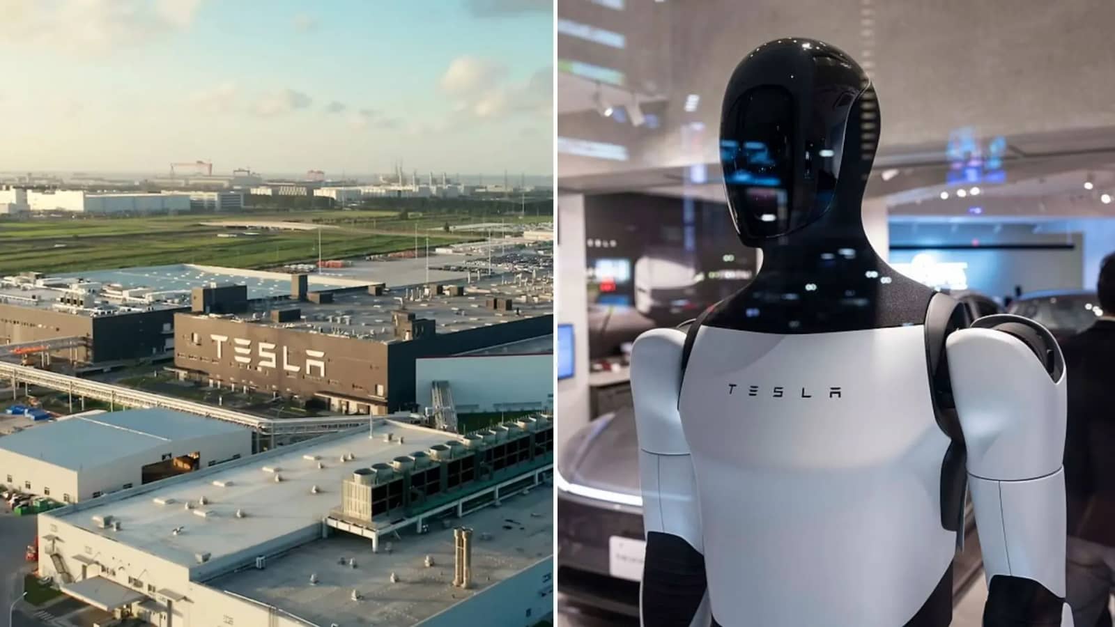 Tesla може налагодити масове виробництво роботів-гуманоїдів у Китаї