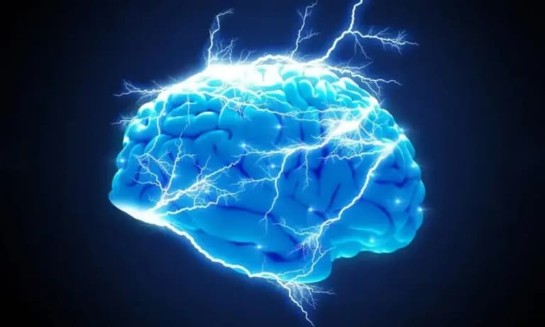 Вчені відкрили спосіб покращити пам’ять у старіючому мозку