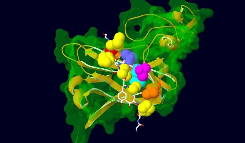Лікарі пов’язують рівень білка з серйозною інтелектуальною недостатністю