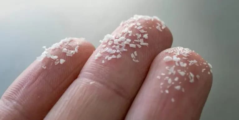 Мікропластик переносить супербактерії з каналізації у світовий океан