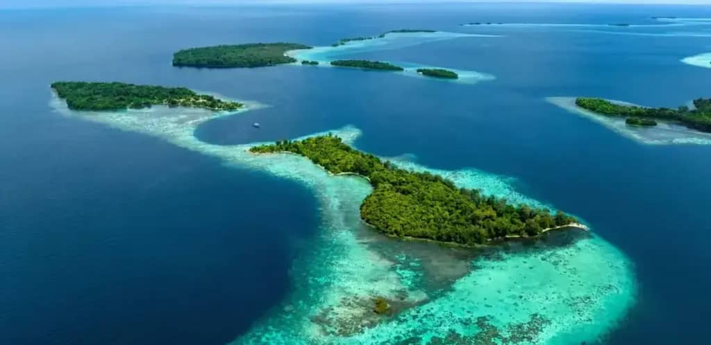На Соломонових островах знайдено найбільший корал у світі