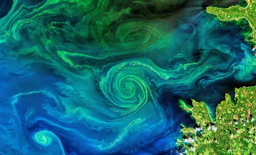 Невеликі супутники спостерігають за станом океану з космосу