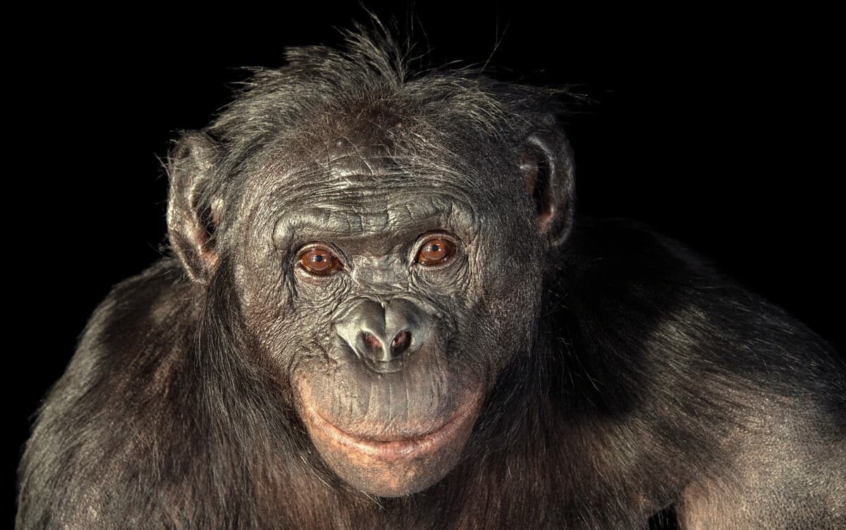 Вчені довели, що мутації у генах відбуваються не випадково