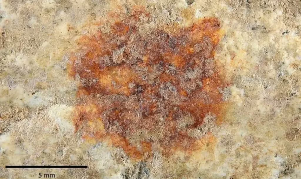 Неандертальці малювали ще 43 тисячі років тому