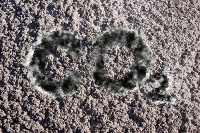 Зростання рівня CO2 може змінювати хімічний склад нашої крові