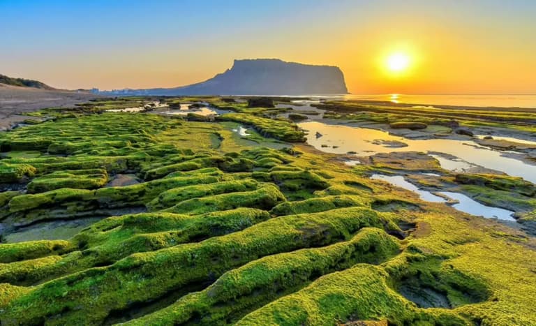 Вчені розробили план зі зниження CO₂ за допомогою природної сили океану