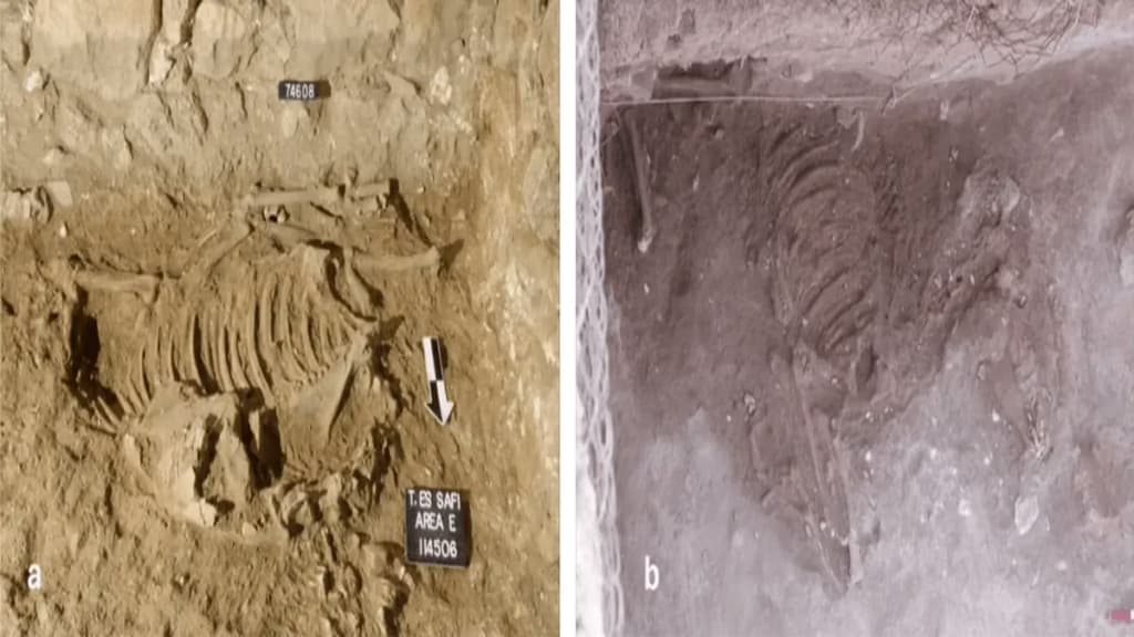 Вчені розкрили таємницю поховань віслюків віком 4500 років