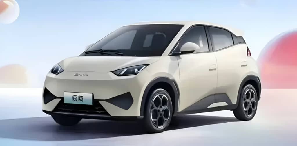 Представлений BYD Seagull Free Edition