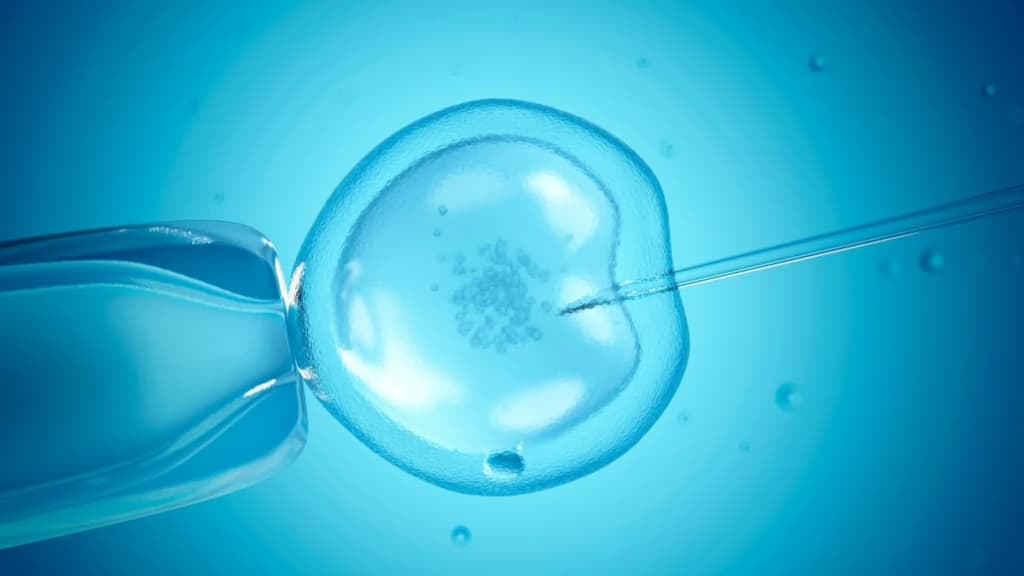 Народилася дитина з ембріона 1994 року