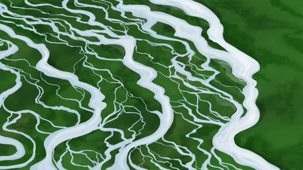 Вчені пропонують нову метафору еволюції людини