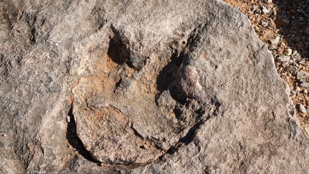 Сліди доісторичного гіганта з’явилися після повені у Техасі