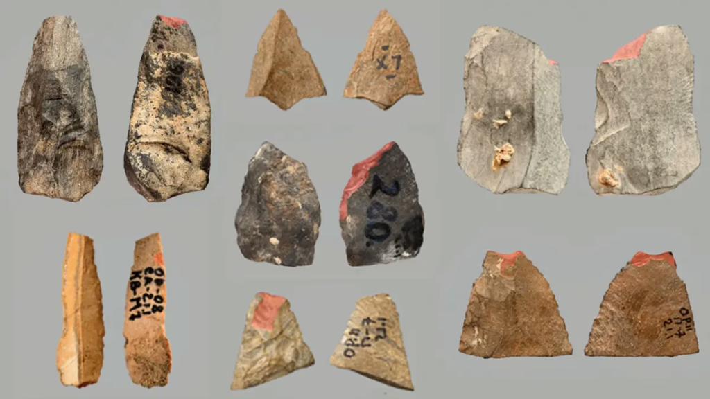 В Узбекистані знайшли знаряддя віком 80 тисяч років