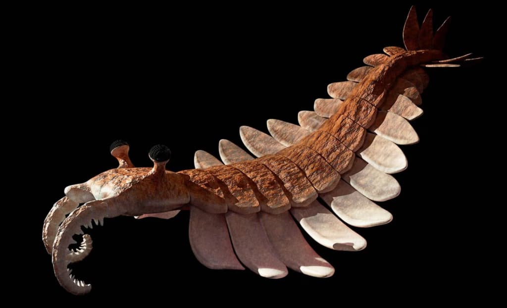 Вчені знайшли скам’янілість віком 520 мільйонів років з неушкодженим мозком