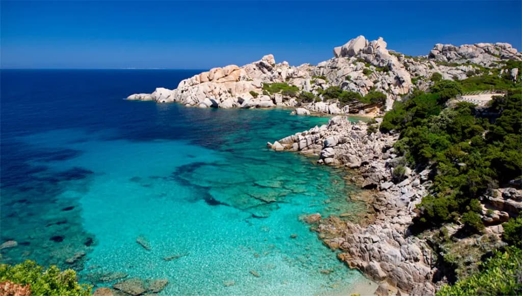 Вчені знайшли причину, чому зникають мікроорганізми у Середземному морі